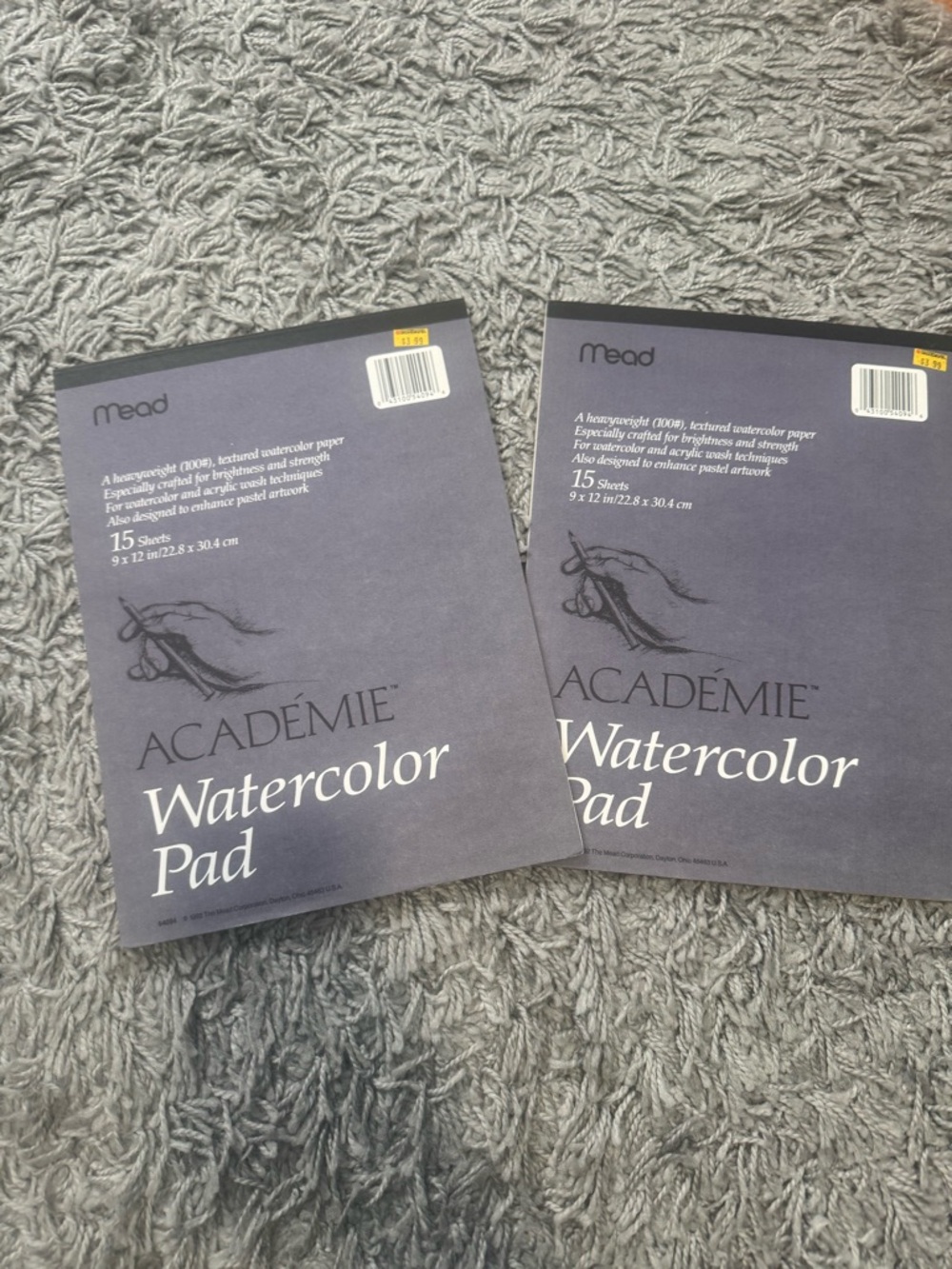 Set of 2 Mean Water Color Paper Pads Artist Paper Art Supplies - Partially Used